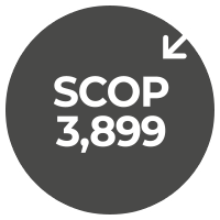 SCOP 3,899